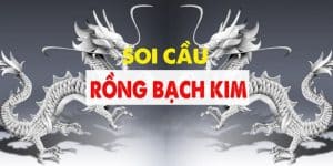 Sơ bộ về hình thức soi cầu rồng bạch kim từ cao thủ
