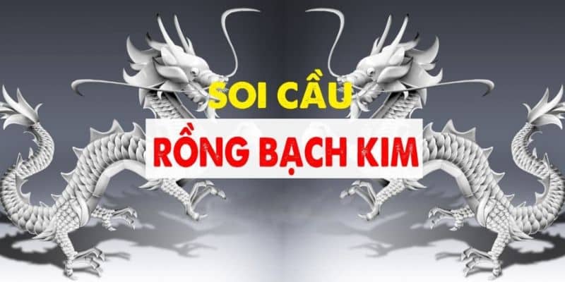 Sơ bộ về hình thức soi cầu rồng bạch kim từ cao thủ