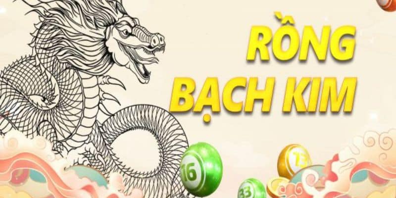 Bí kíp từ soi cầu rồng bạch kim mang lại chiến thắng lớn