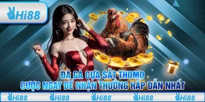 Đá gà cựa sắt Thomo: Cược ngay để nhận thưởng hấp dẫn nhất