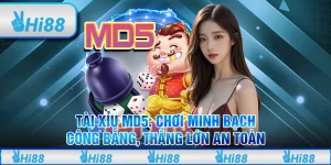 Tài Xỉu MD5: Chơi minh bạch, công bằng, thắng lớn an toàn