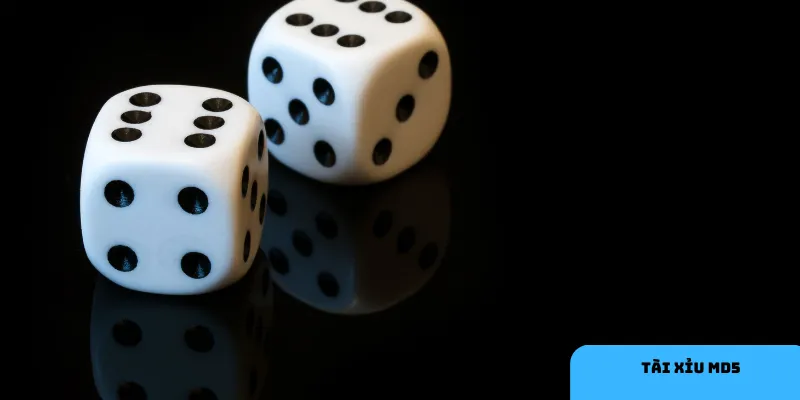 Luôn kiểm tra mã MD5 để đảm bảo kết quả minh bạch.