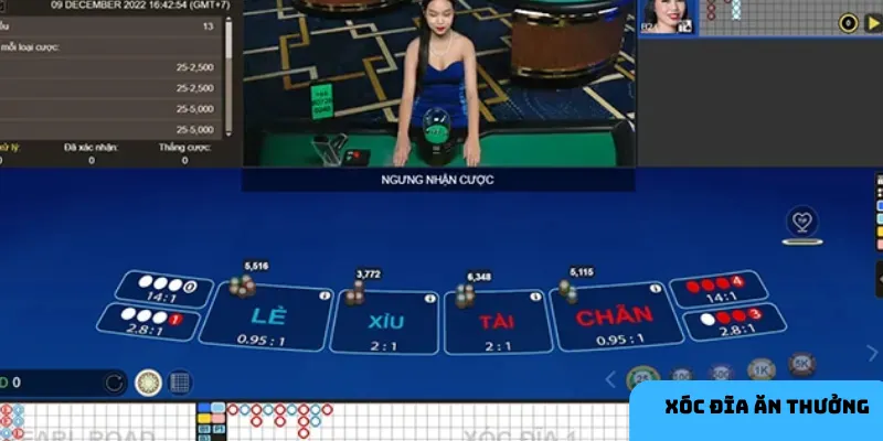 Xóc đĩa trực tuyến đảm bảo minh bạch và hấp dẫn.