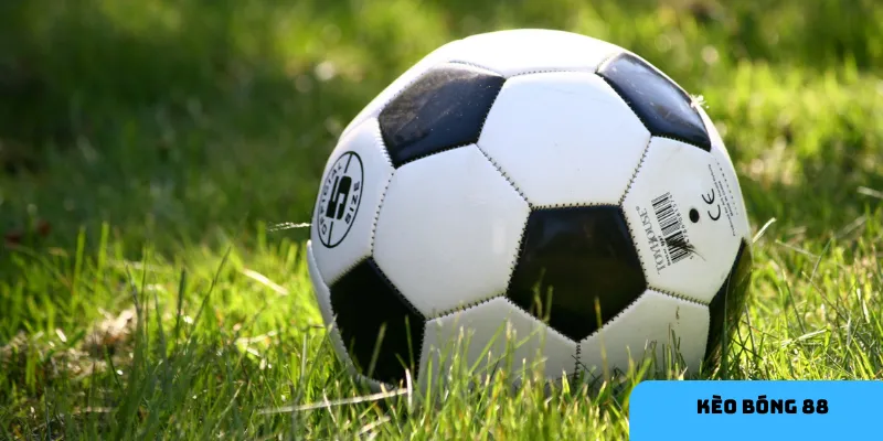 HI88 luôn mang đến ưu đãi tốt nhất cho người chơi.