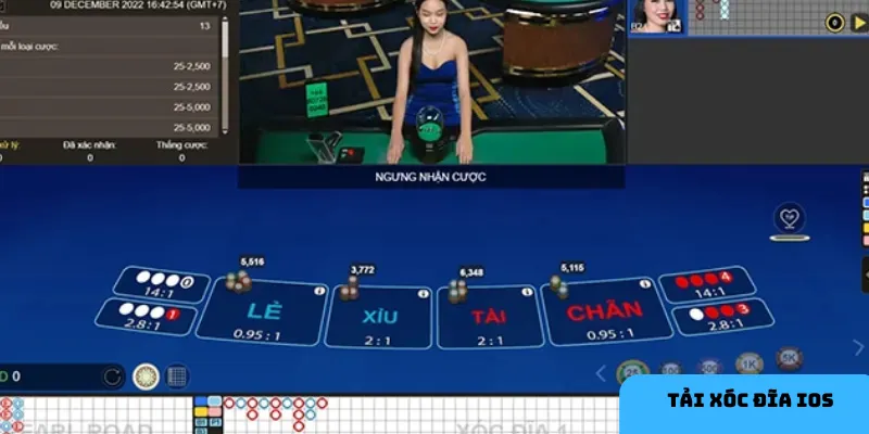 Kết nối cộng đồng tăng thêm phần thú vị.