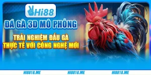 Đá gà 3d mô phỏng – trải nghiệm đấu gà thực tế với công nghệ mới