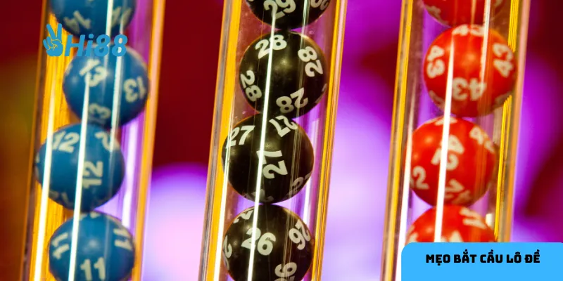 Kết hợp nhiều loại cầu lô đề tăng cơ hội trúng lớn.