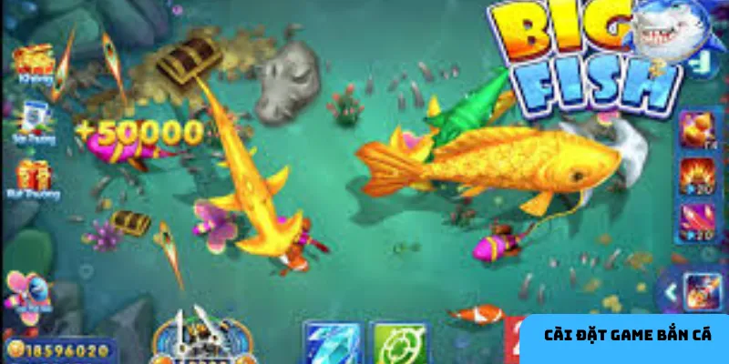 Ứng dụng game bắn cá mang đến trải nghiệm ổn định và đồ họa ấn tượng.