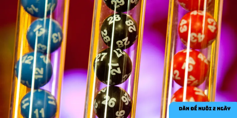 Phương pháp dàn đề nuôi giúp giảm rủi ro và tối ưu hóa vốn hiệu quả.