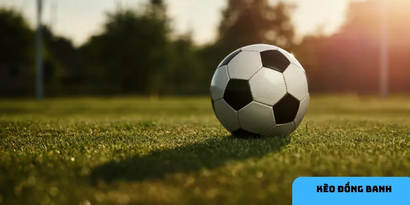 Phân tích đội hình và phong độ để soi kèo hiệu quả.