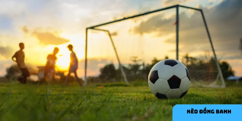 Đặt cược sớm để tận dụng tỷ lệ tốt nhất.