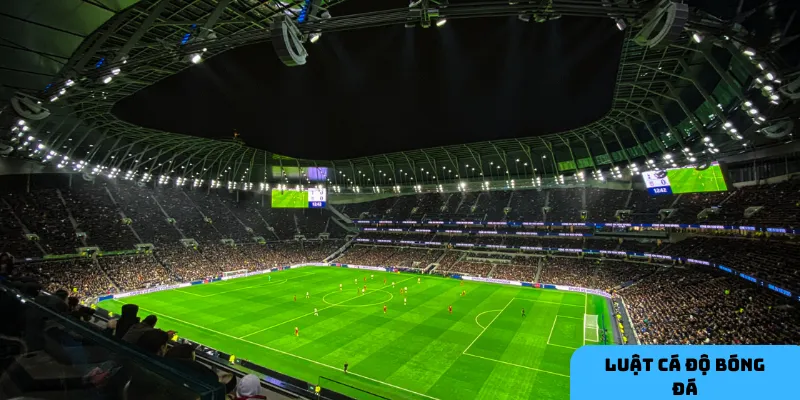 Nắm bắt các yếu tố cần thiết giúp bạn nâng cao cơ hội thắng trong cá độ bóng đá.