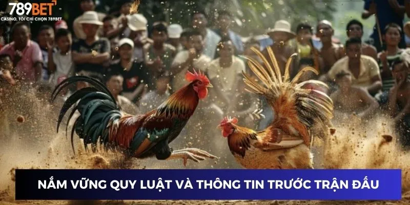 Nắm vững quy luật và thông tin trước trận đấu