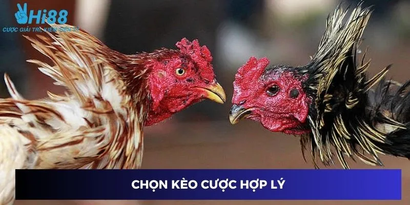 Chọn kèo cược hợp lý