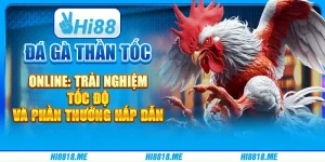 Đá gà thần tốc online: trải nghiệm tốc độ và phần thưởng hấp dẫn