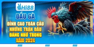 Đấu gà đỉnh cao toàn cầu: Những trận đấu đáng nhớ trong năm 2024