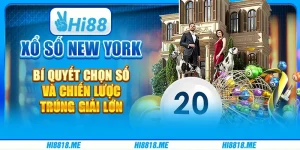 Xổ số New York: Con đường đến với giấc mơ đổi đời