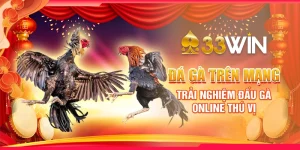 Đá Gà Trên Mạng - Trải Nghiệm Đấu Gà Online Thú Vị
