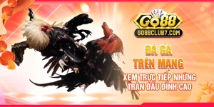 da-ga-tren-mang-xem-truc-tiep-nhung-tran-dau-dinh-cao