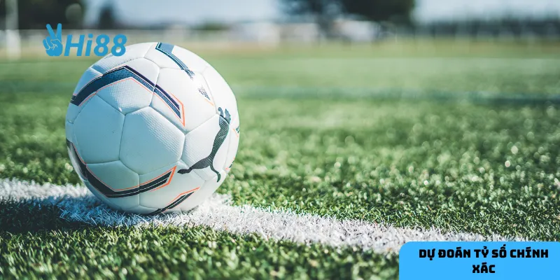 Dữ liệu đội bóng giúp nắm bắt xu hướng phong độ chính xác.