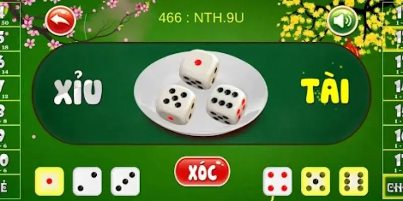 Nên cân nhắc kỹ