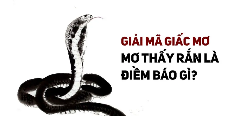 Giấc mơ thấy rắn cùng 789Bet