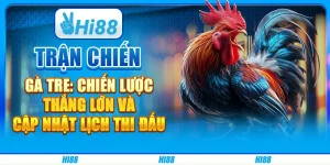 Trận Chiến Gà Tre: Chiến Lược Thắng Lớn Và Cập Nhật Lịch Thi Đấu