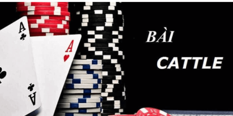 Cảm giác hồi hộp khi đặt cược khi chơi bài cát tê