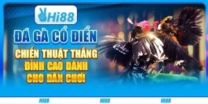 Đá Gà Cổ Điển: Chiến Thuật Thắng Đỉnh Cao Dành Cho Dân Chơi