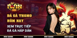 Đá Gà Thomo Hôm Nay - Xem Trực Tiếp Đá Gà Hấp Dẫn Mỗi Ngày