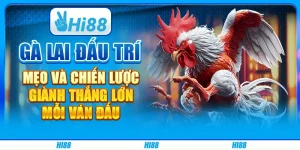Gà Lai Đấu Trí: Mẹo Và Chiến Lược Giành Thắng Lớn Mỗi Ván Đấu