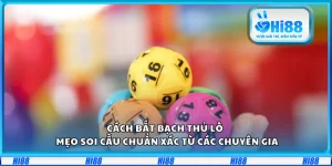 Cách bắt bạch thủ lô – Mẹo soi cầu chuẩn xác từ các chuyên gia