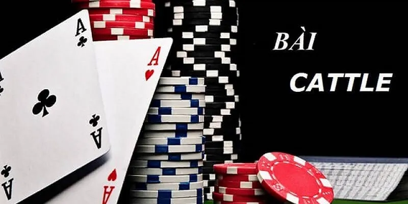 Hướng dẫn luật chơi bài Cát Tê